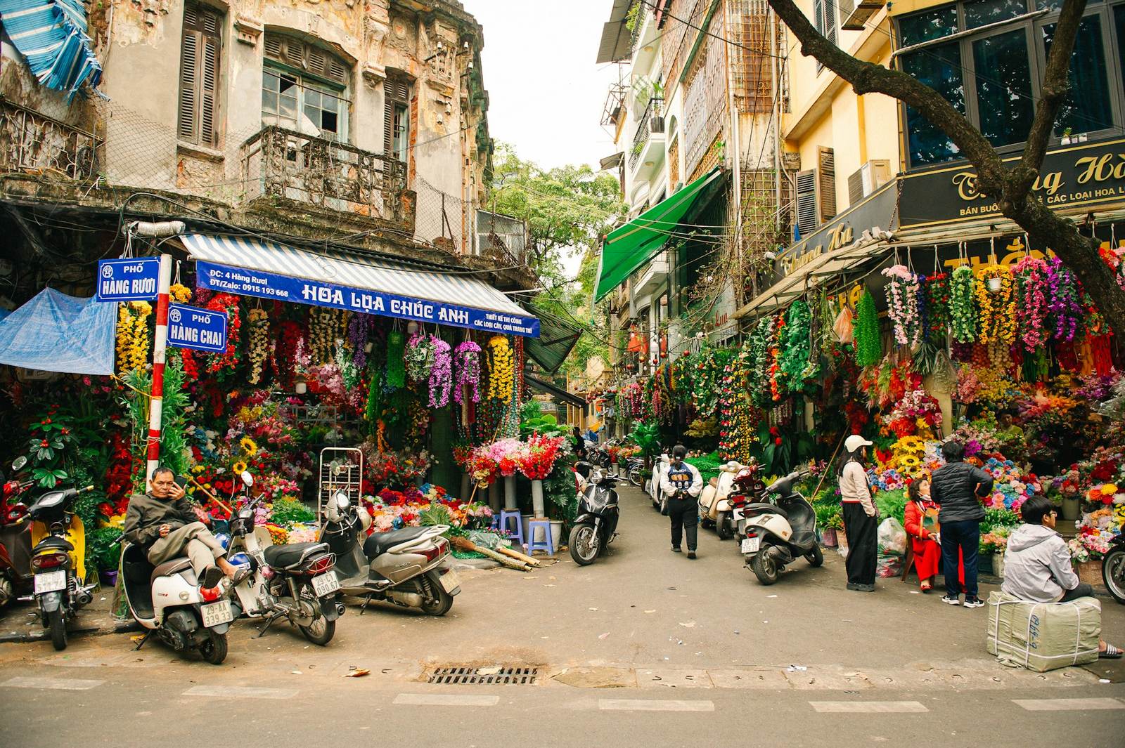 NAATI Vietnamese Translation